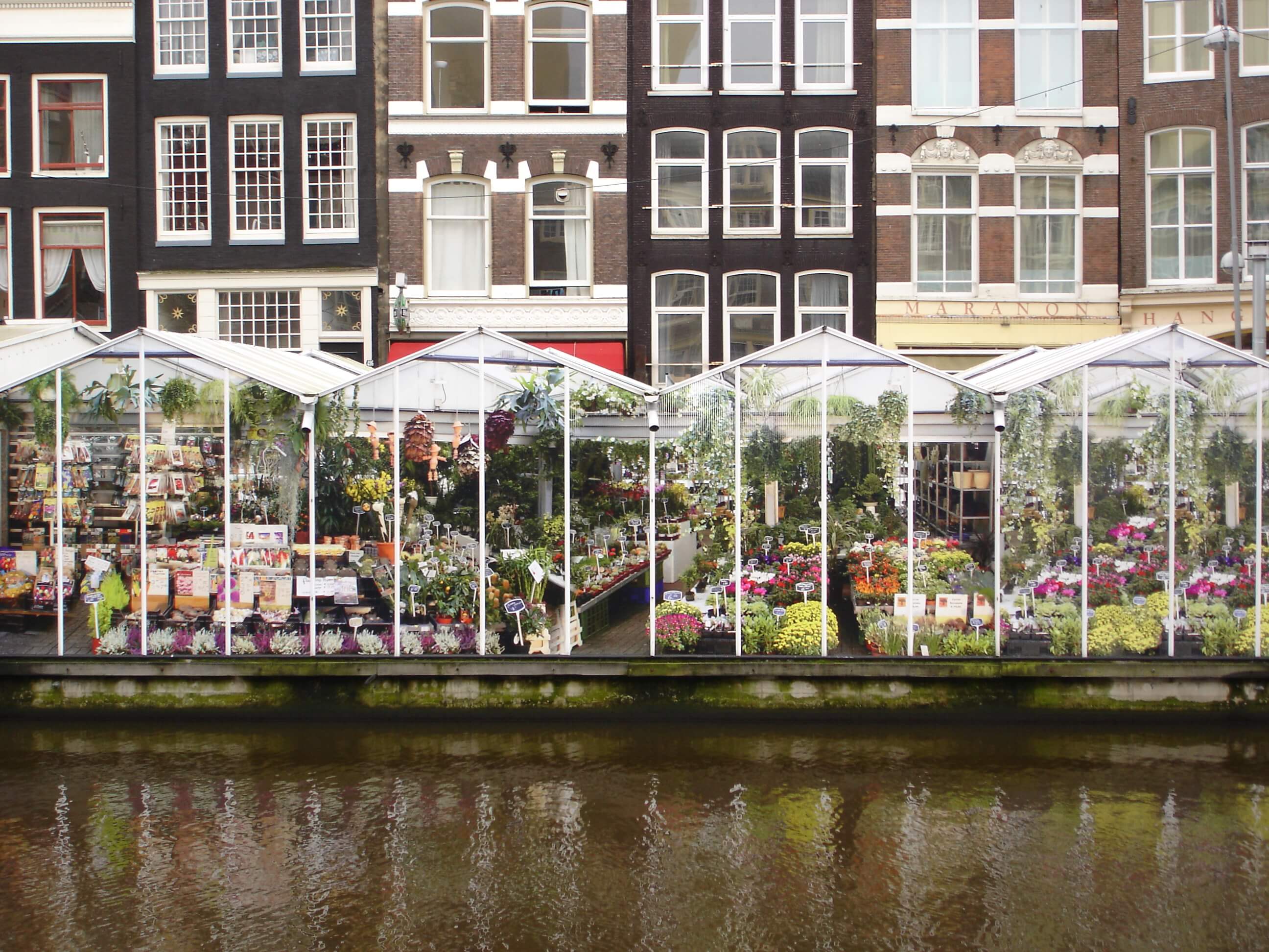 mercado de las flores en un día en Ámsterdam